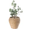 Vintiquewise Woven Round Flower Pot Planter Basket with Leak-Proof Plastic Lining - Medium QI003832.M